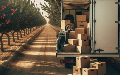Mudanzas en la Huerta de Murcia: Guía Completa para un Traslado Sin Estrés